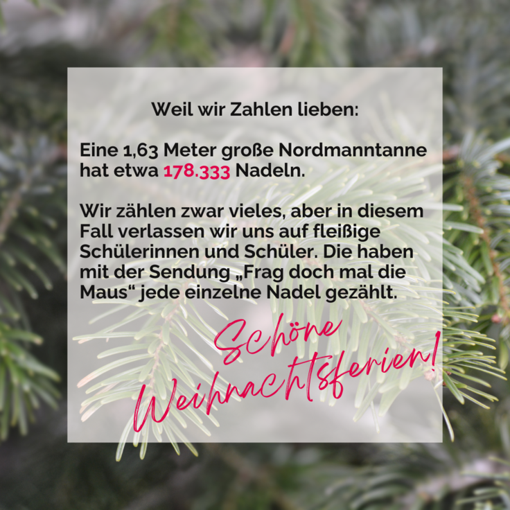 Text: Weil wir Zahlen lieben: Eine 1,63 Meter große Nordmanntanne hat etwa 178.333 Nadeln. Fleißige Schüllerinnen und Schüler haben mit der Sendung 